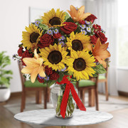 Atracción Irresistible, Venezuela, Venezuela