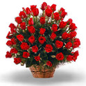 Rosas Espléndidas, Venezuela, Venezuela