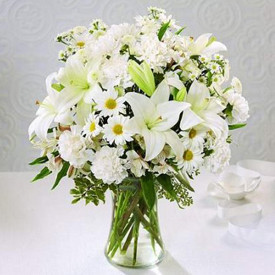 White Delicacy, Venezuela, Venezuela - Venezuela