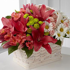 Make Their Day Bouquet, Venezuela, Venezuela - Venezuela
