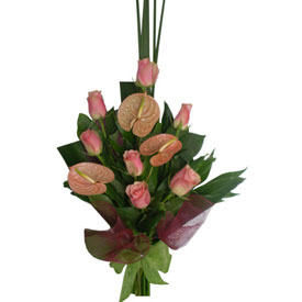 Rosas & Anturios, Venezuela, Venezuela - Venezuela