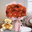 Gerberas Aniversario, Venezuela, Venezuela