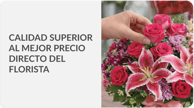 Envía a todo Venezuela