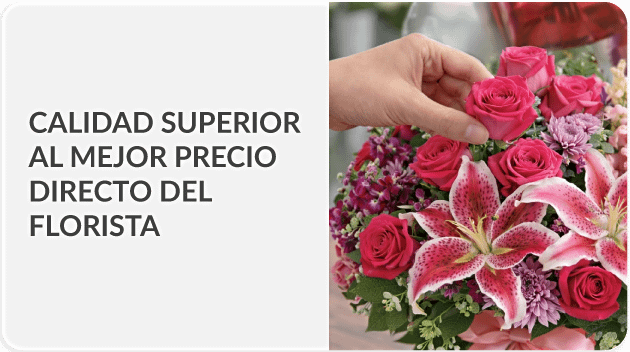 Envía a todo Venezuela