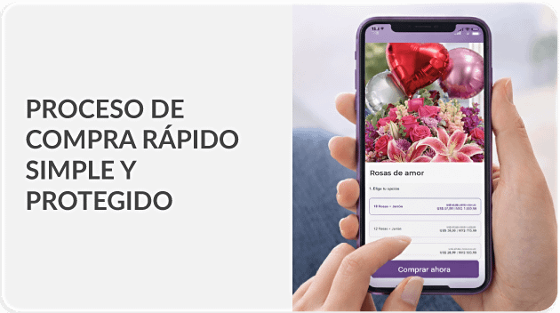 Envío en menos de 2 horas a Venezuela - Flores Para Venezuela